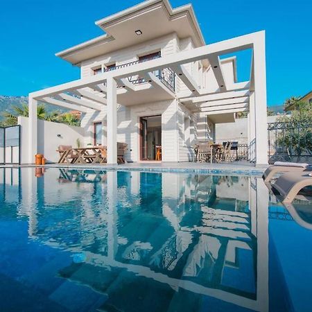 Havuzlu Korunakli Jakuzili Villa 费特希耶 外观 照片