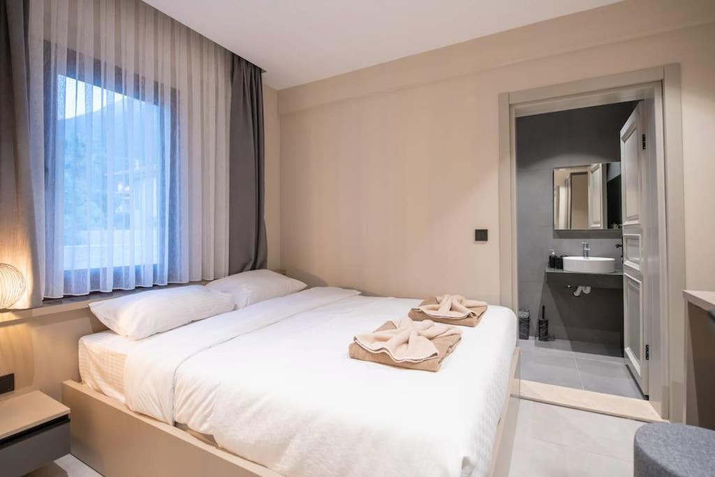 Havuzlu Korunakli Jakuzili Villa 费特希耶 外观 照片